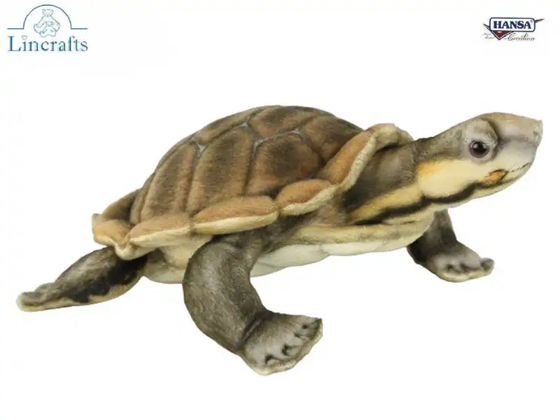 Manning Flussschildkröte Stofftier von Hansa 8426 -brandneu- Lincrafts UK Est