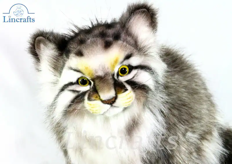 Hansa sitzende Pallas oder Manul Katze 7169 Stofftier verkauft von Lincrafts UK