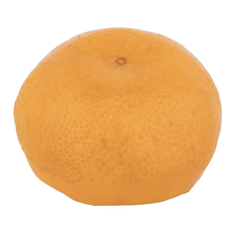 Nihon Probe Lebensmittelprobe Mandarine Orange Größe S Breite 60 x Höhe 35 mm