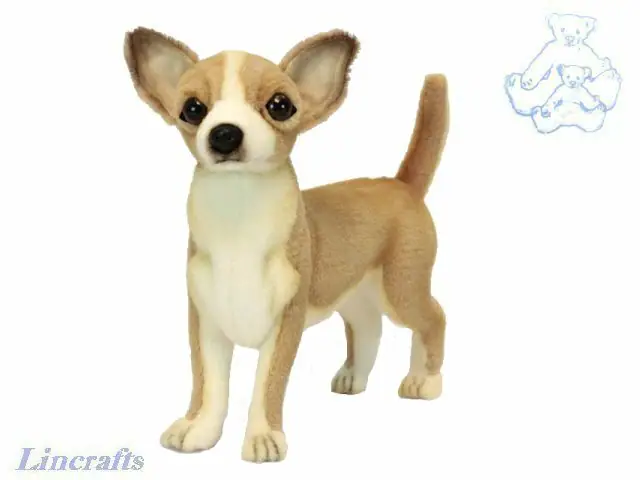 Hansa stehender Chihuahua 6295 Plüschtier Kuscheltier verkauft von Lincrafts UK