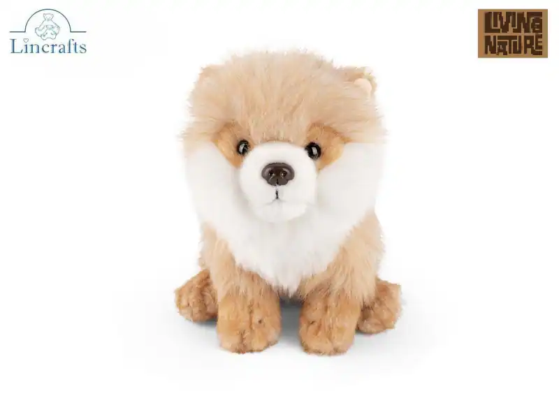 Pomeranian Welpe Plüschtier Stofftier Hund Teddy Living Nature 19,5 cm