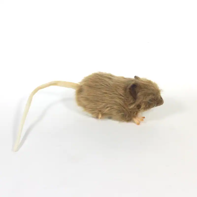 Braune dicke Ratte Plüschtier Kuscheltier von Hansa Plüschtier Teddy Nager