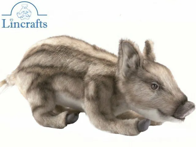 Hansa Wildschwein liegend 5027 Plüschtier Kuscheltier verkauft von Lincrafts UK