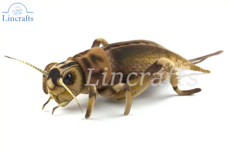 Hansa Cricket 8064 Stofftier verkauft von Lincrafts UK Est. 1993