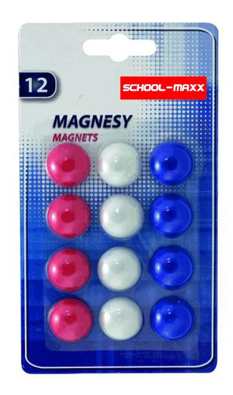 12 Magnete rund für Magnettafel Whitboard Wochenplaner Magnetwand Kühlschrank