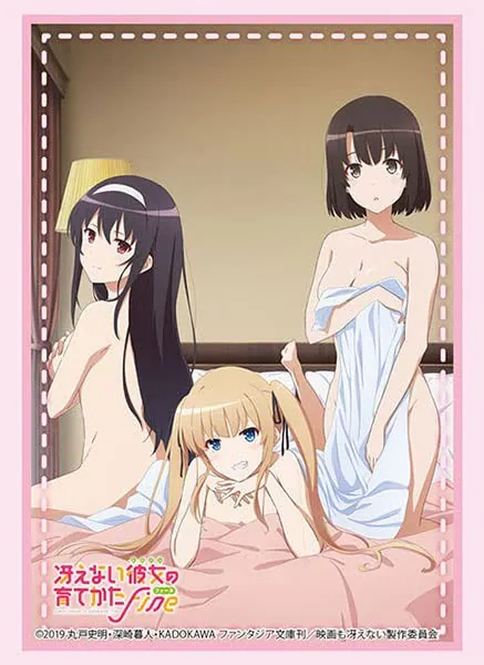 Sleeve Collection HG Vol.3402 „Filmfassung „Saekano Fine“ Part.3