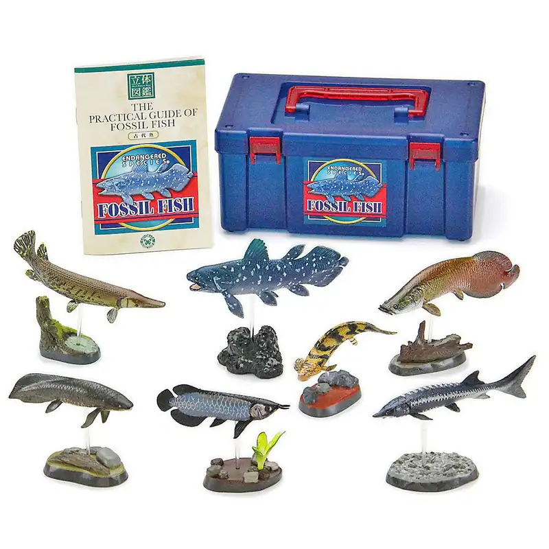 Colorata 3D Illustrated Book Real Figurebox (Ancient Fish / 7 Types / Includes S
