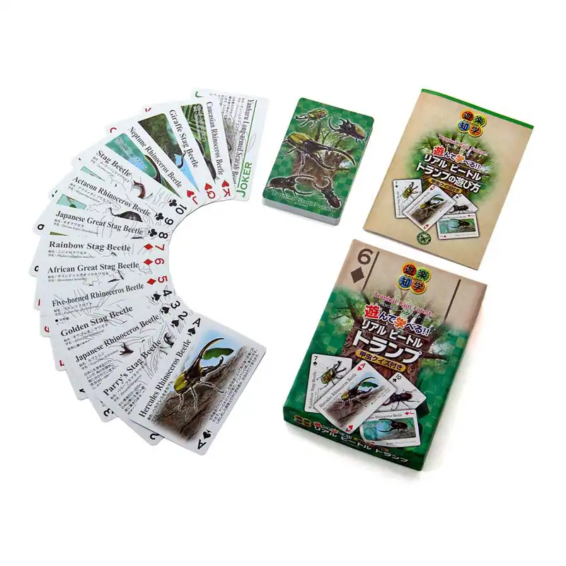 Colorata Spielkarten (Käfer Quiz) Kunststoff Tier Lernspiel echter Käfer