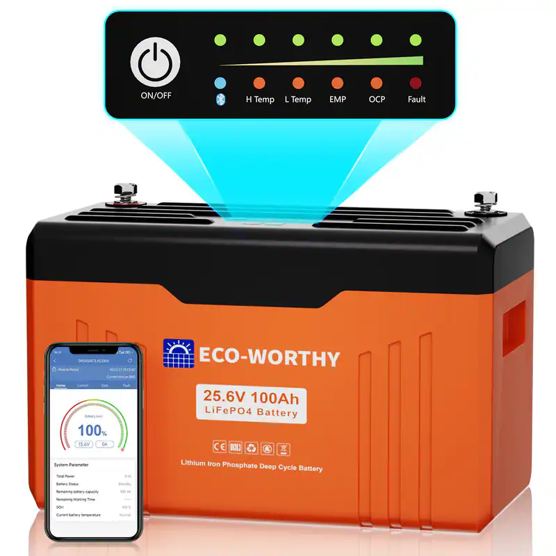 24V 100AH LiFePO4 100A BMS Batterie mit Bluetooth Statusanzeige für Wohnmobile