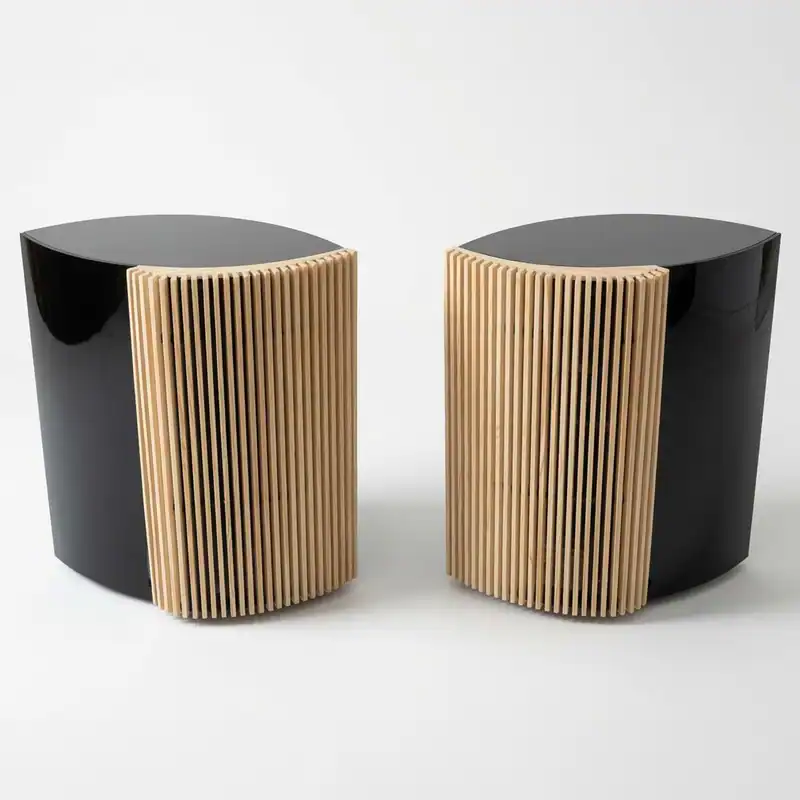 BeoLab 4000 Holz-Fronten Bang & Olufsen (Paar)