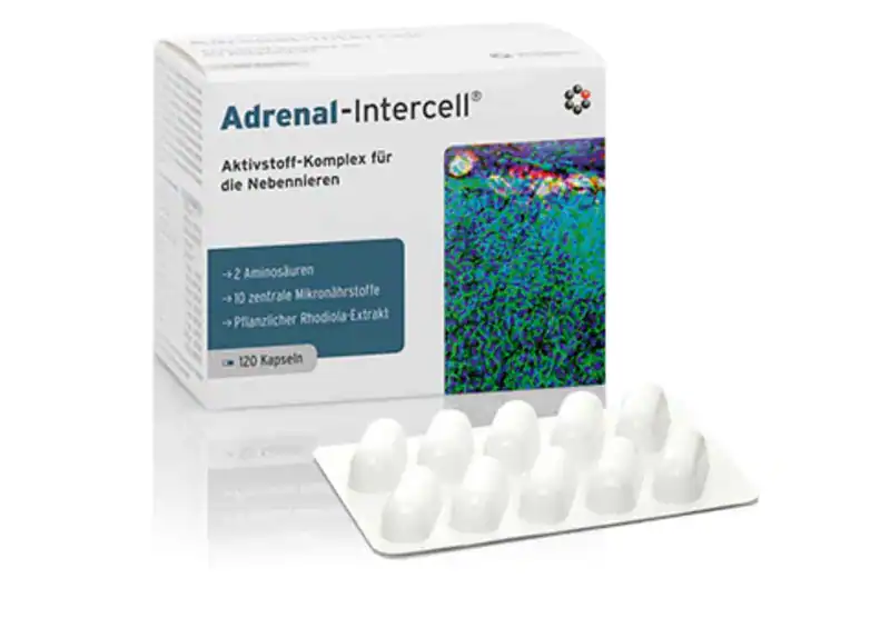 Mito-Pharma Adrenal-Intercell 120 kapsułek