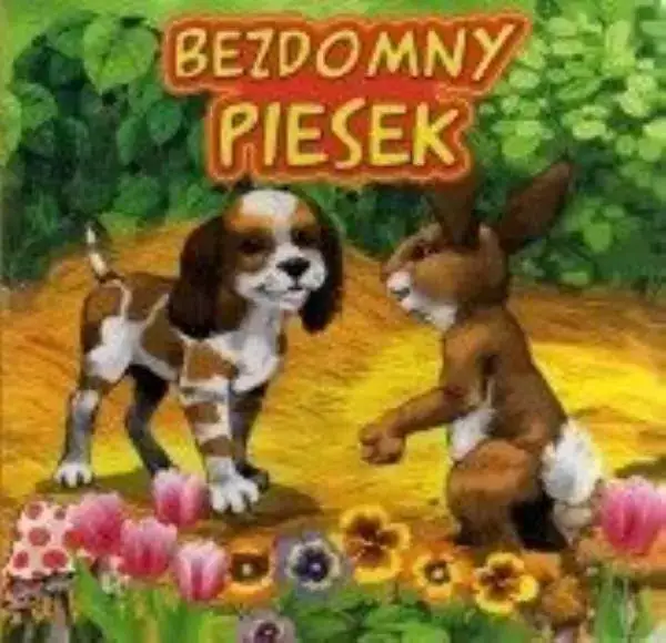 Bezdomny piesek Jafi